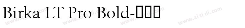 Birka LT Pro Bold字体转换